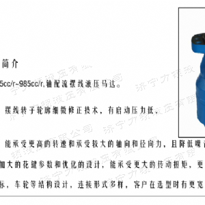 BMH系列并列油口世界杯体育官方网站-综合赛事平台马达