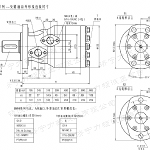 BMH系列交错油口世界杯体育官方网站-综合赛事平台马达